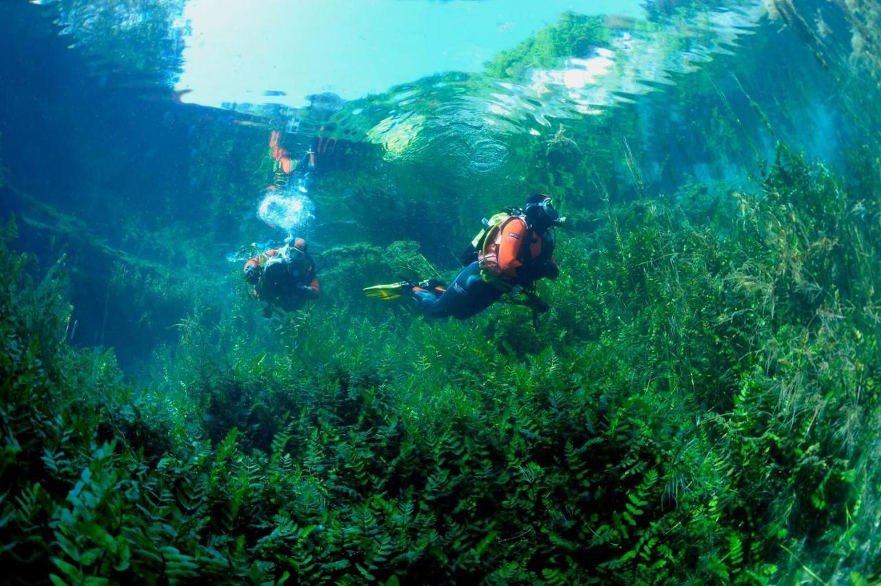 Casa Rosamari - Su Lago Di Posta Fibreno, Appartamento Con Camino Εξωτερικό φωτογραφία